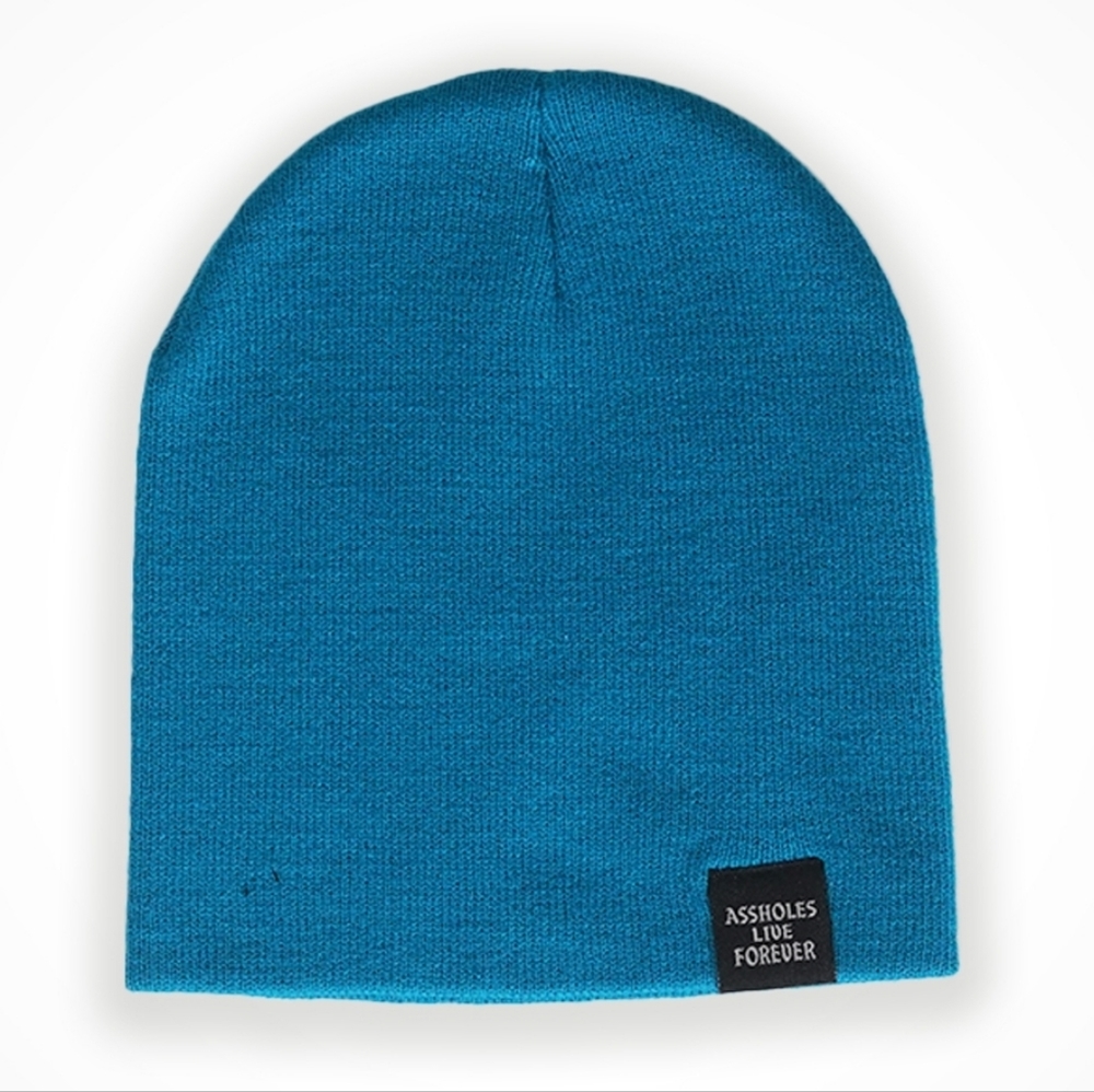 Aqua SKULLCAP BEANIE Assholes Live Forever